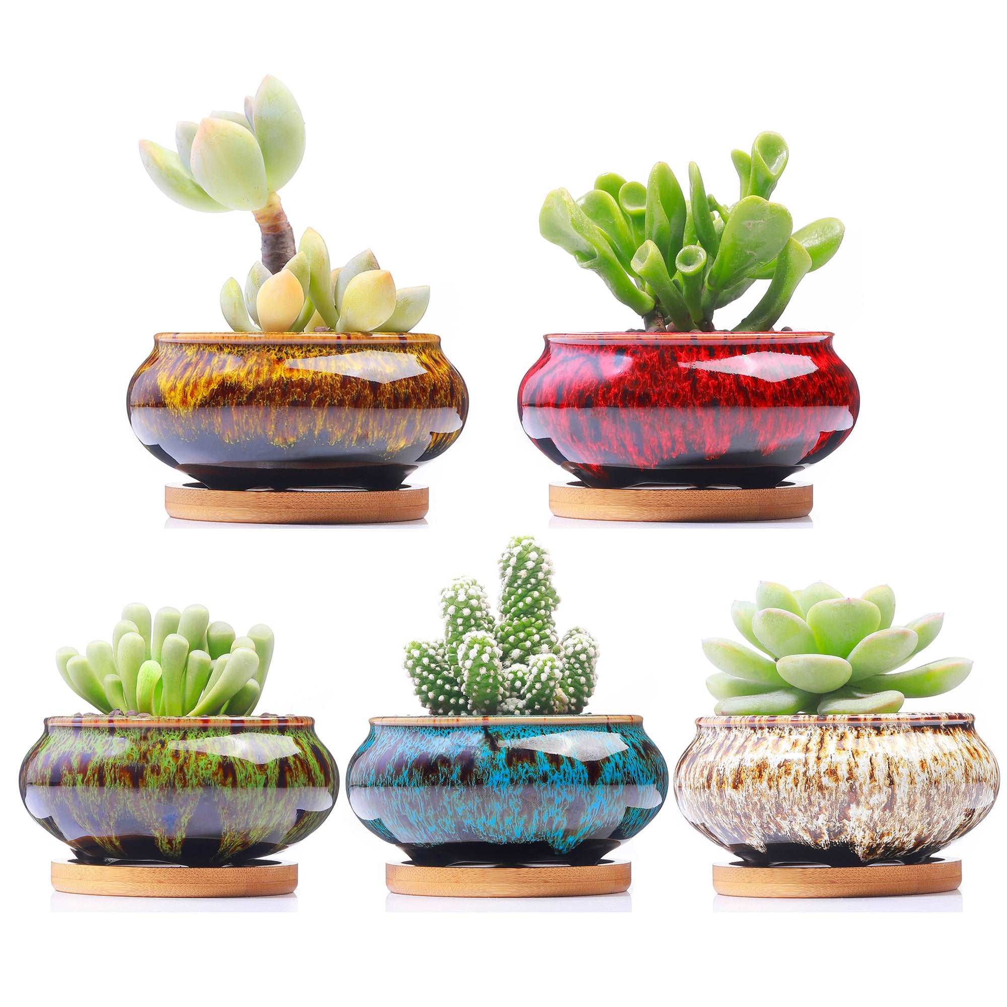 LAMDAWN Cute Ceramic Succulent Garden Pots, Planter with Drainage and