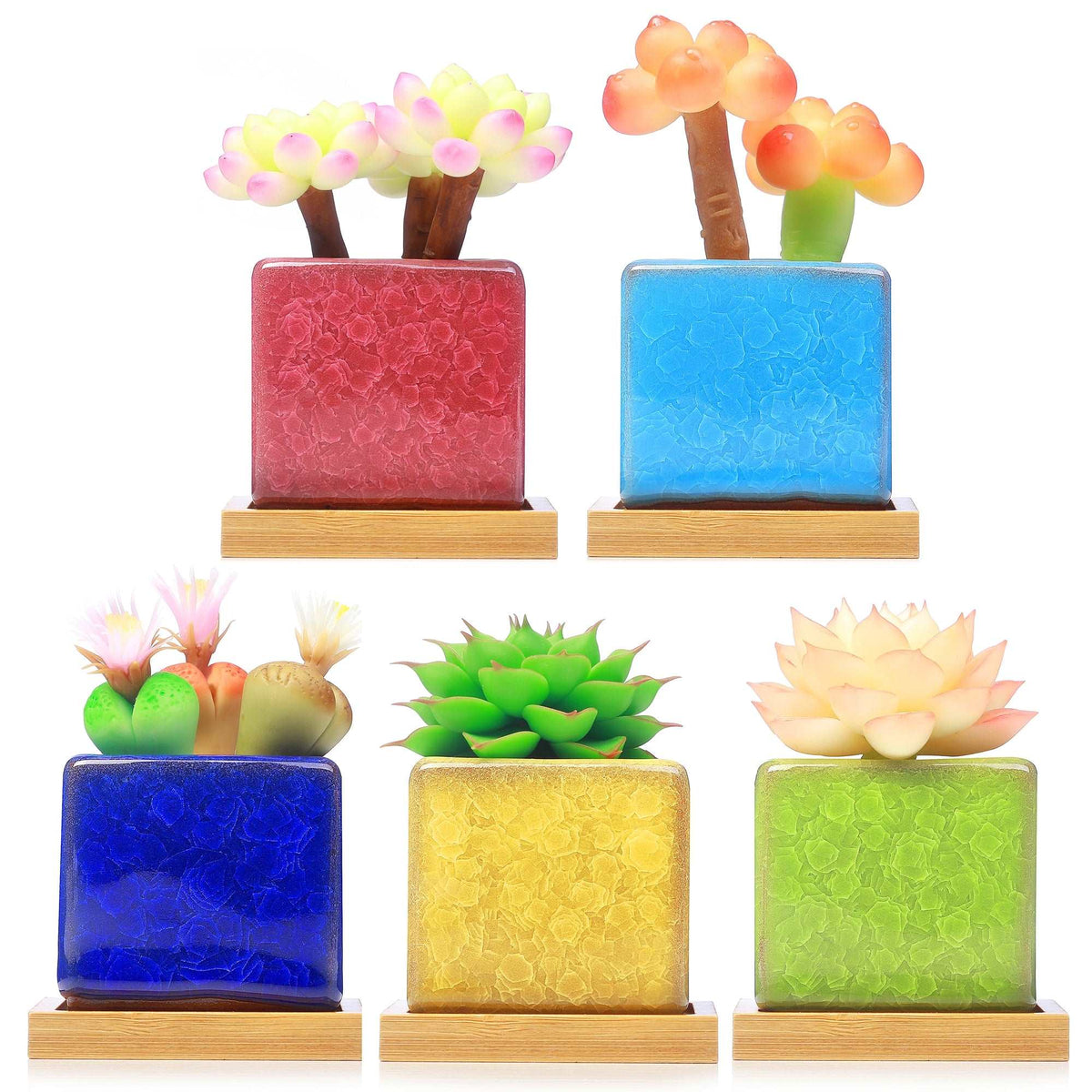 cute little pots for succulents LAMDAWN Cute Ceramic Succulent Garden Pots, Planter with Drainage and