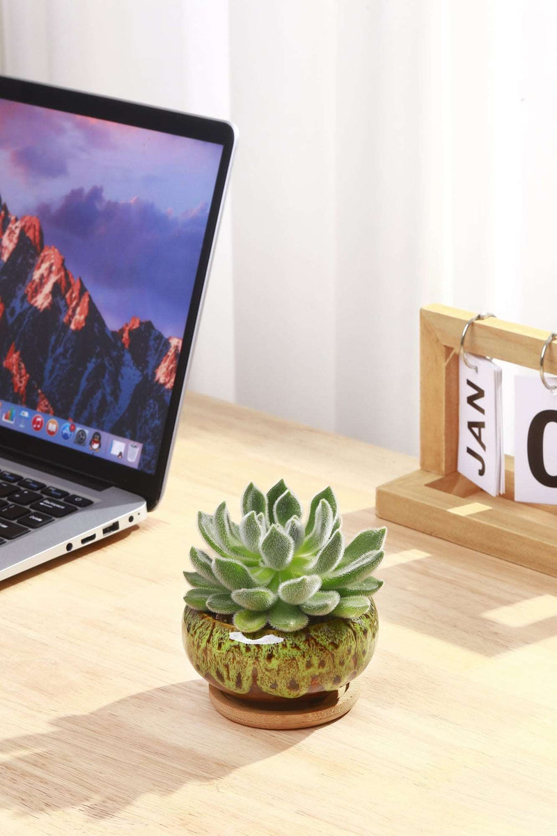 LAMDAWN Cute Ceramic Succulent Garden Pots, Planter with
