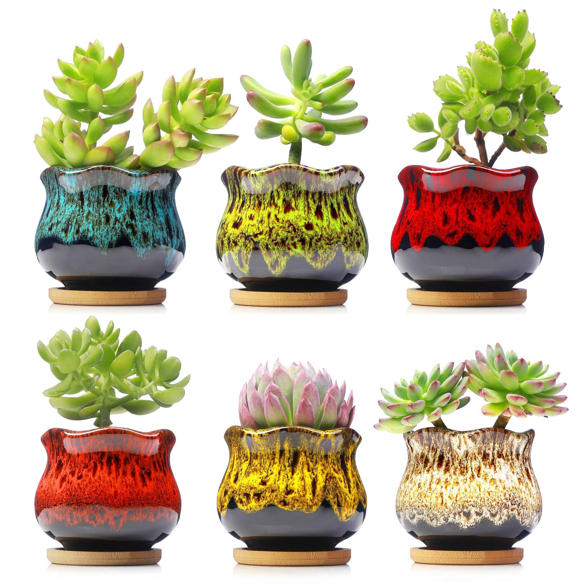 LAMDAWN Cute Ceramic Succulent Garden Pots, Planter with Drainage and