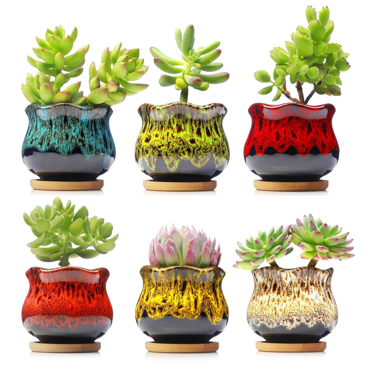 plant pots indoor ceramic LAMDAWN Cute Ceramic Succulent Garden Pots, Planter with Drainage and