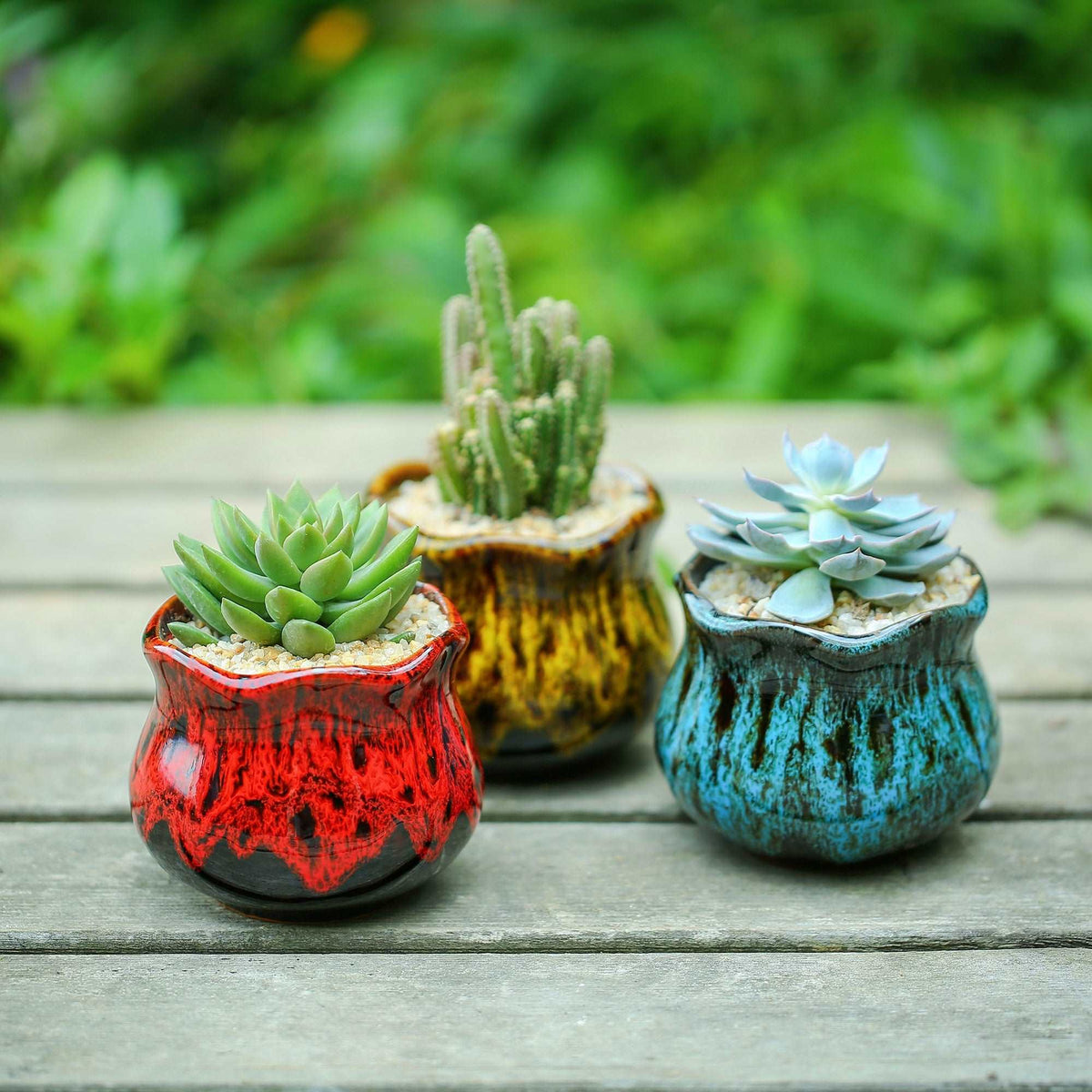 planter pots for succulents LAMDAWN Cute Ceramic Succulent Garden Pots, Planter with Drainage and