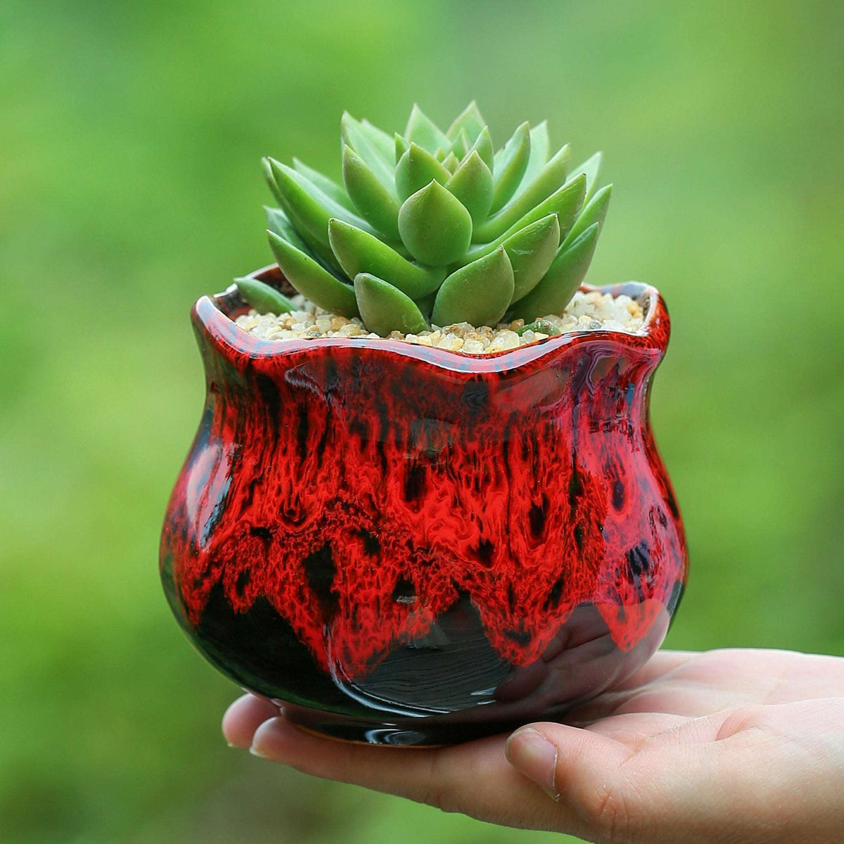 green ceramic planter pots LAMDAWN Cute Ceramic Succulent Garden Pots, Planter with Drainage and