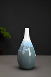 Unveil the Beauty of Tradition: Modern Celadon Vases for Your Home(SET OF 6） - LAMDAWN