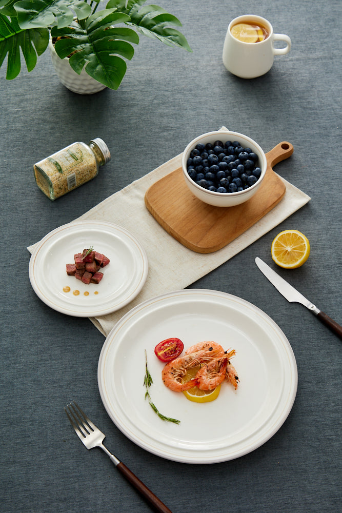 High-Temperature Heavy Ceramics 10.5-inch dinner plate -Cozy Gray(set of 6)