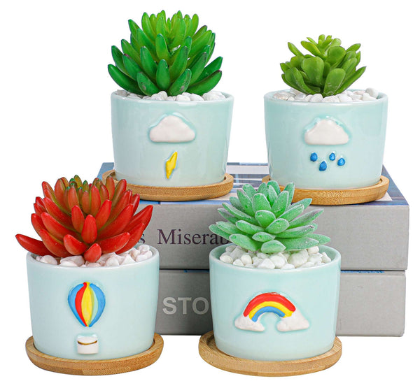 cute small succulent pots 8.5 CM Cute Ceramic Succulent Garden Pots, Planter with Drainage and A – LAMDAWN