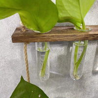 Creative Hydroponics Wall Hanging Vase Vase Test Tube Vase