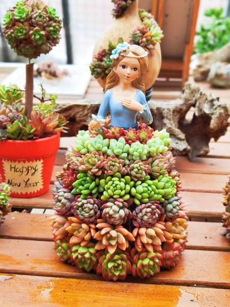 plant pot skirt Creative Succulent Princess Flower Skirt Flower Holder Gardening Ornaments Home Decor Gifts