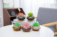 LAMDAWN Cute Ceramic Garden Succulent Pots, Planter with Drainage and Attached Saucer -Plants Not Included-Five Pots - LAMDAWN