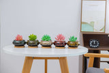 LAMDAWN Cute Ceramic Garden Succulent Pots, Planter with Drainage and Attached Saucer -Plants Not Included-Five Pots - LAMDAWN