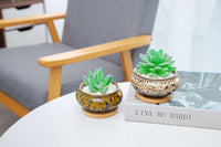 LAMDAWN Cute Ceramic Garden Succulent Pots, Planter with Drainage and Attached Saucer -Plants Not Included-Five Pots - LAMDAWN