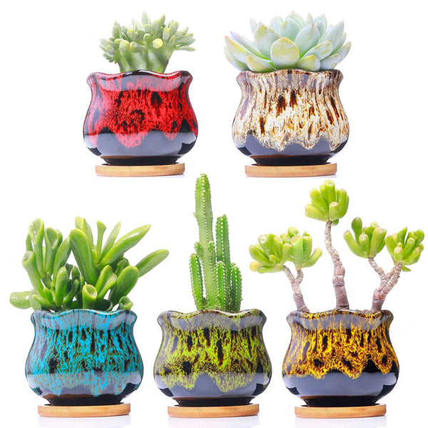 LAMDAWN Cute Ceramic Succulent Garden Pots, Planter with Drainage and Attached Saucer, Set of 5 -Plants Not Included (Fambe) | FAMBE POTS | LAMDAWN