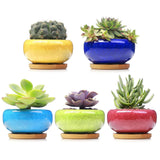 LAMDAWN Cute Ceramic Succulent Garden Pots, Planter with Drainage and Attached Saucer, Set of 5 -Plants Not Included (Ice Cracks Colors) | ICE CRACK | LAMDAWN