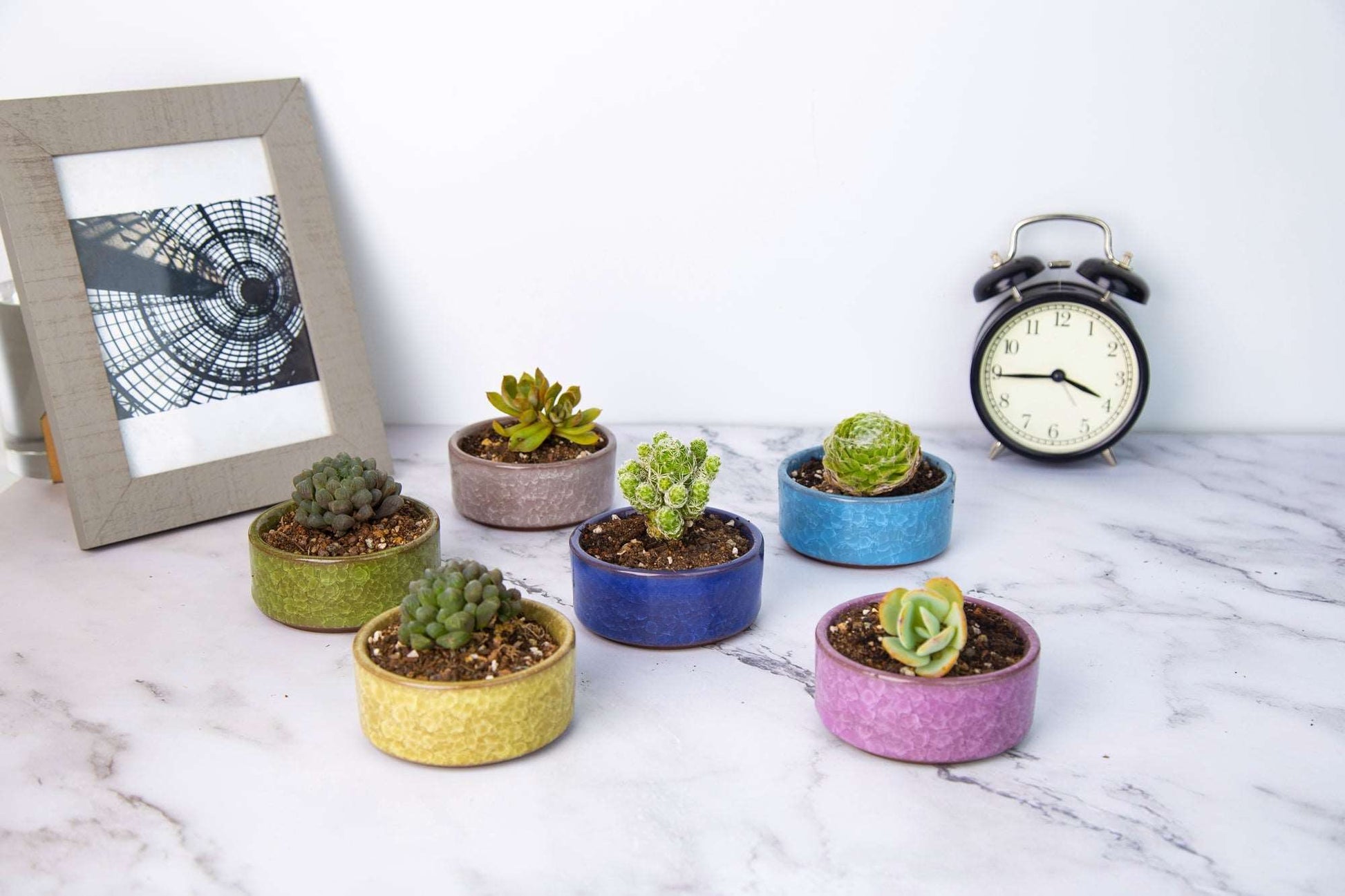 succulent planter with saucer LAMDAWN Cute Ceramic Succulent Garden Pots, Planter with Drainage and Attached Saucer, Set of 5 -Plants Not Included (Ice Cracks Round Colors)