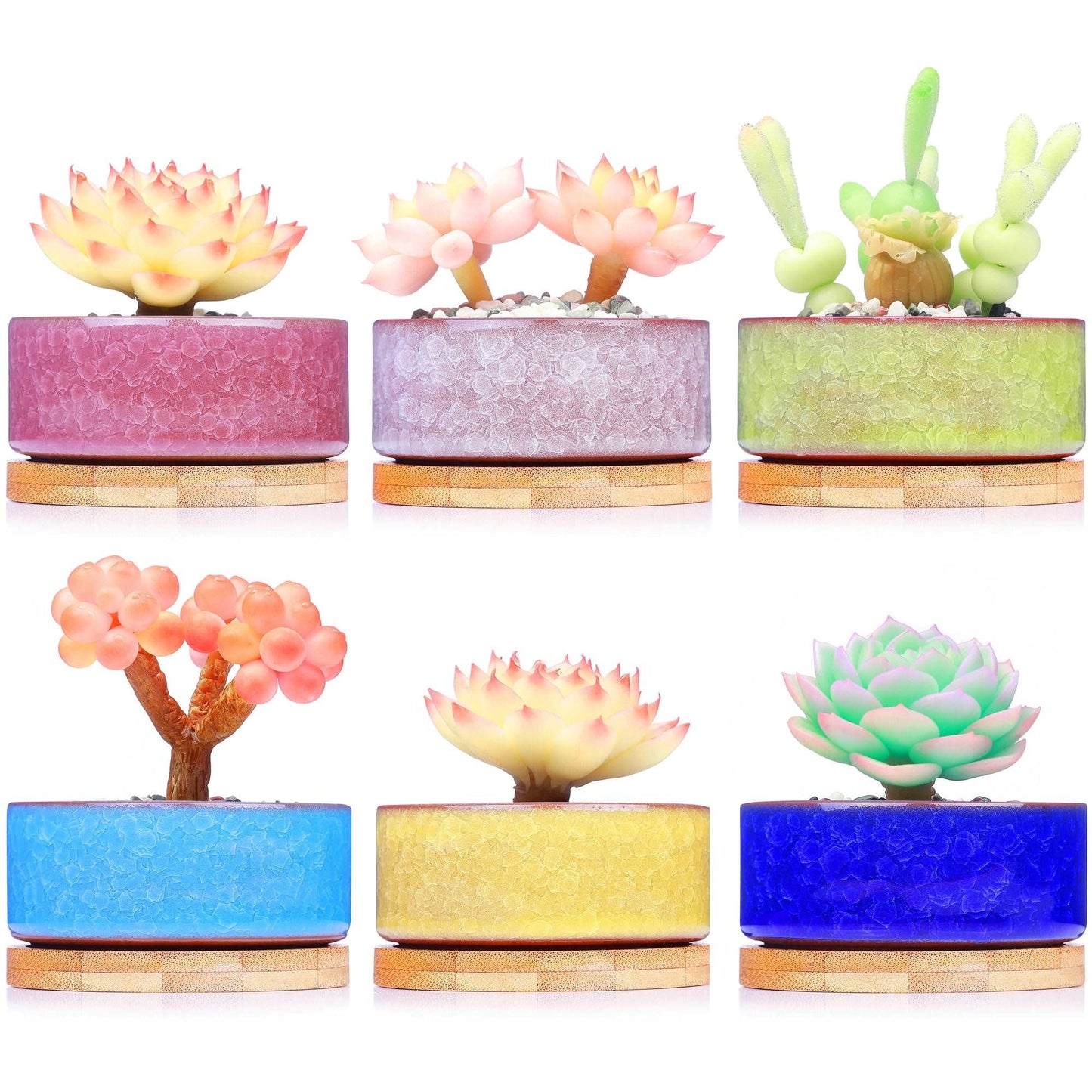 LAMDAWN Cute Ceramic Succulent Garden Pots, Planter with Drainage and Attached Saucer, Set of 5 -Plants Not Included (Ice Cracks Round Colors) | ICE CRACK | LAMDAWN