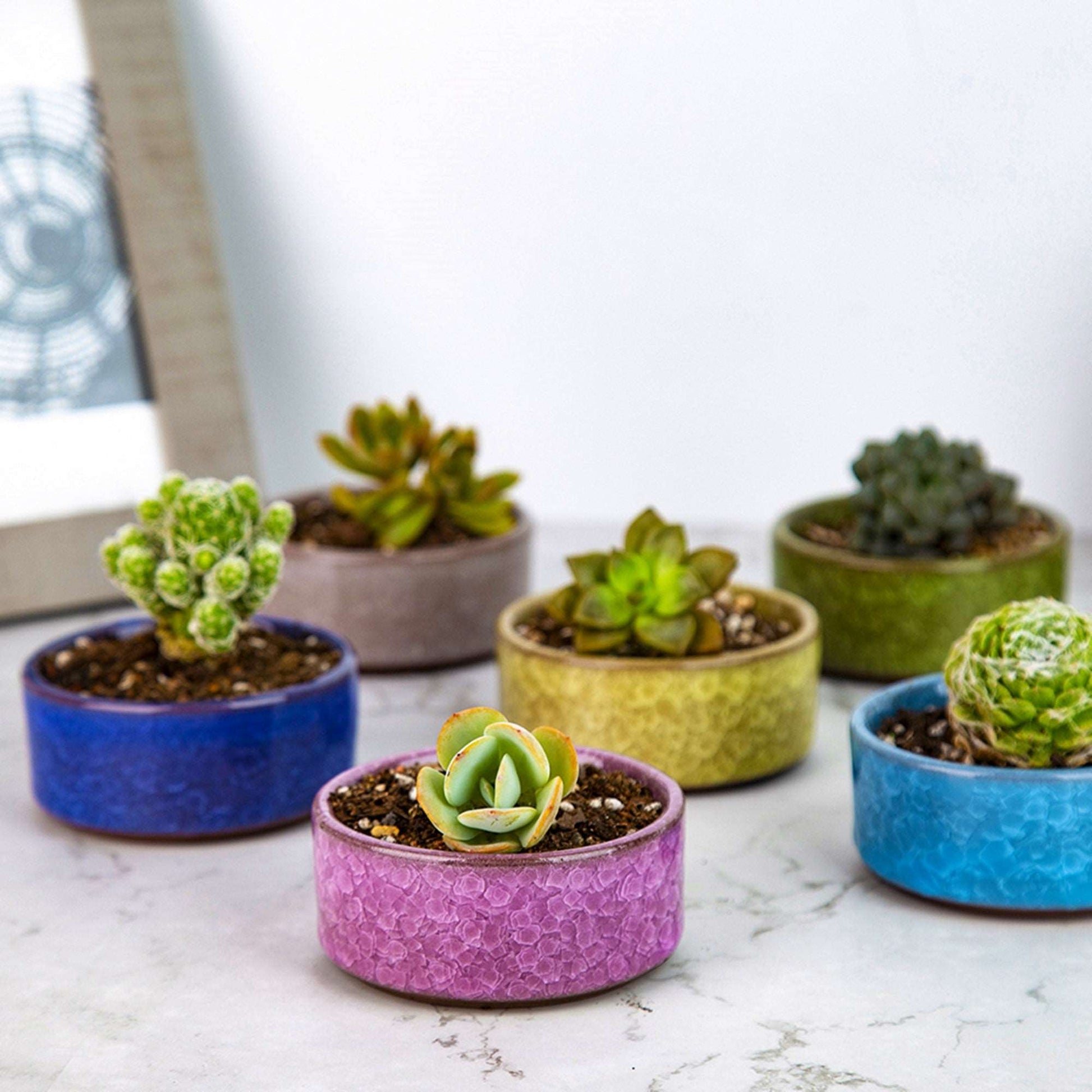 cute ceramic pots for plants LAMDAWN Cute Ceramic Succulent Garden Pots, Planter with Drainage and Attached Saucer, Set of 5 -Plants Not Included (Ice Cracks Round Colors)