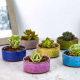 LAMDAWN Cute Ceramic Succulent Garden Pots, Planter with Drainage and Attached Saucer, Set of 5 -Plants Not Included (Ice Cracks Round Colors) - LAMDAWN