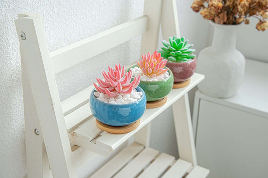 LAMDAWN Cute Ceramic Succulent Garden Pots, Planter with Drainage and Attached Saucer, Set of 5 -Plants Not Included (Ice Cracks Round) - LAMDAWN