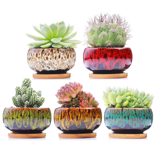 LAMDAWN Cute Ceramic Succulent Garden Pots, Planter with Drainage and Attached Saucer, Set of 5 -Plants Not Included | FAMBE POTS | LAMDAWN