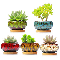 LAMDAWN Cute Ceramic Succulent Garden Pots, Planter with Drainage and Attached Saucer, Set of 5 -Plants Not Included (Vivid Colors) | ICE CRACK | LAMDAWN