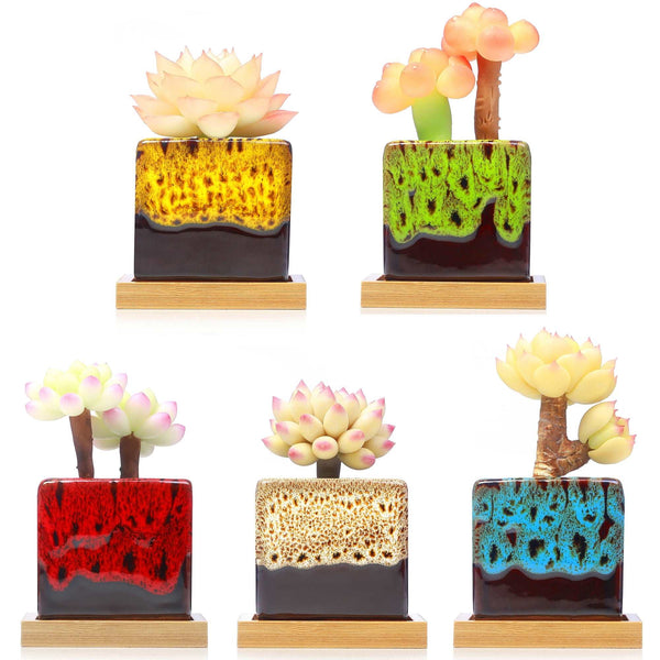 LAMDAWN Cute Ceramic Succulent Garden Pots, Planter with Drainage and Attached Saucer, Set of 5 -Plants Not Included (Vivid square-shaped) | ICE CRACK | LAMDAWN