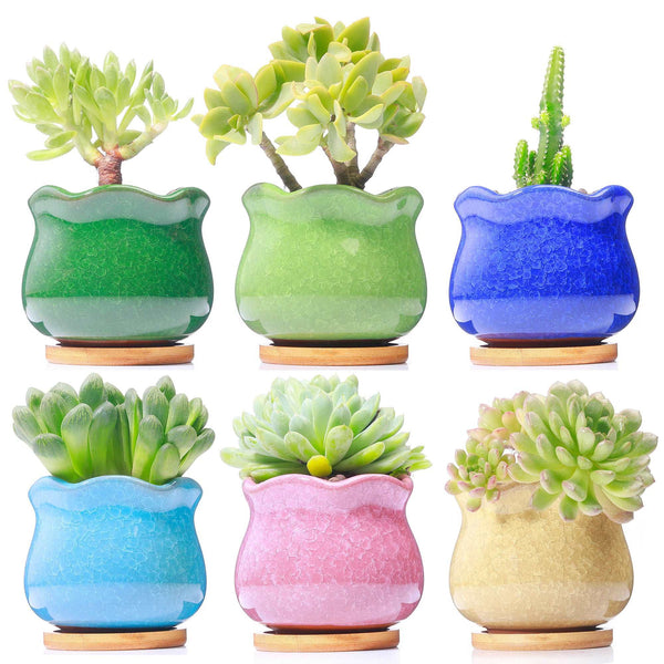 LAMDAWN Cute Ceramic Succulent Garden Pots, Planter with Drainage and Attached Saucer, Set of 6 -Plants Not Included (Ice Cracks) | ICE CRACK | LAMDAWN