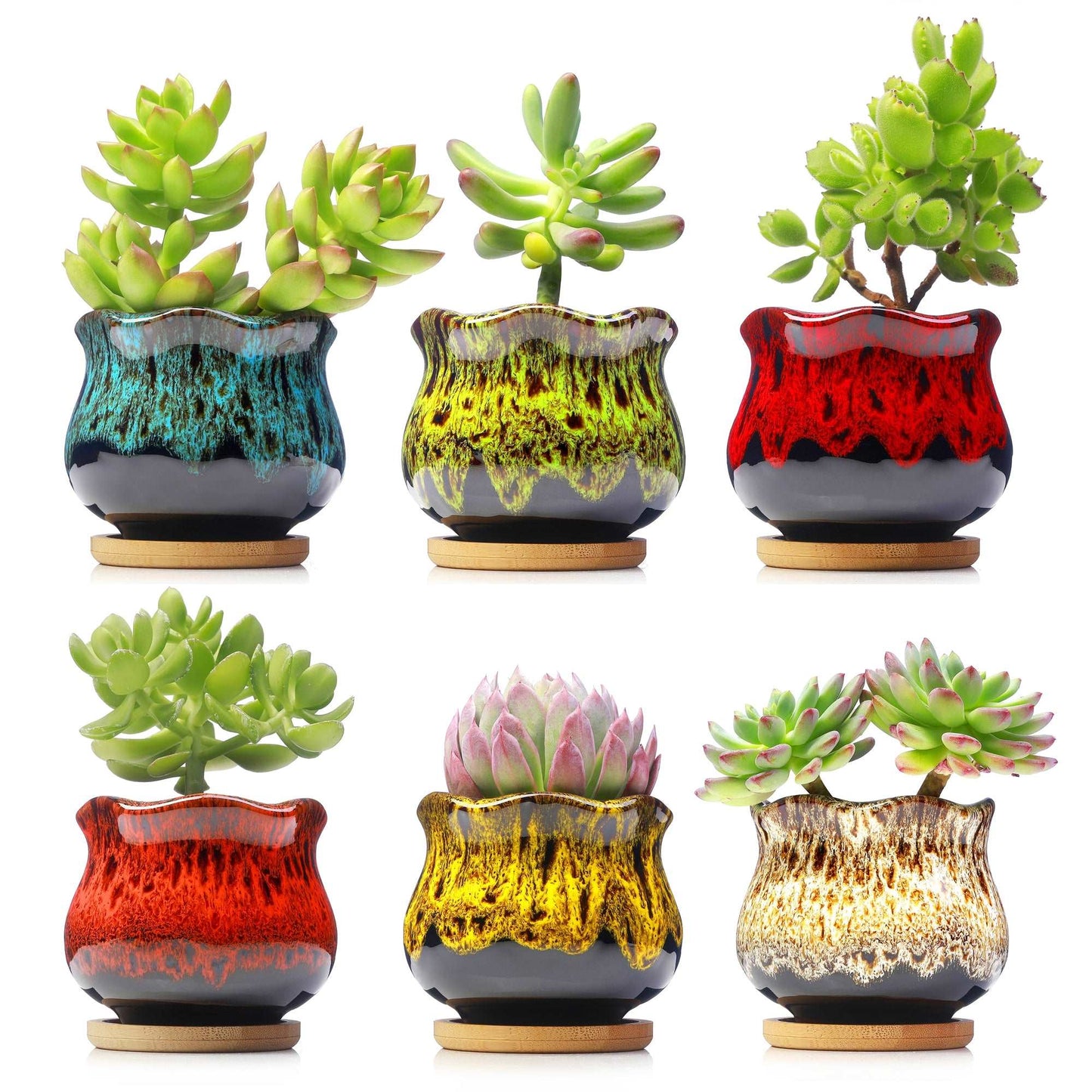 LAMDAWN Cute Ceramic Succulent Garden Pots, Planter with Drainage and Attached Saucer, Set of 6 -Plants Not Included (Vivid Colors)