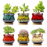 succulent pots cute LAMDAWN Cute Ceramic Succulent Garden Pots, Planter with Drainage and