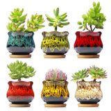 LAMDAWN Cute Ceramic Succulent Garden Pots, Planter with Drainage and Attached Saucer, Set of 6 -Plants Not Included (Vivid Colors) | ICE CRACK | LAMDAWN