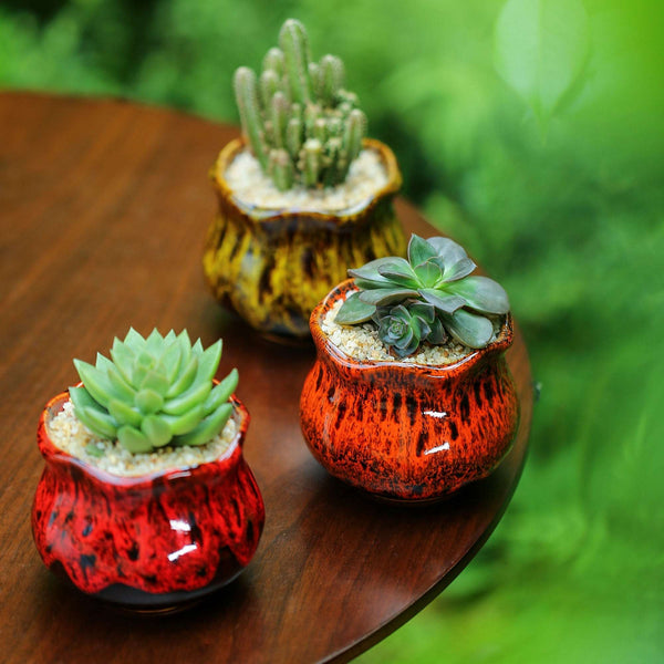 unique pots for succulents LAMDAWN Cute Ceramic Succulent Garden Pots, Planter with Drainage and