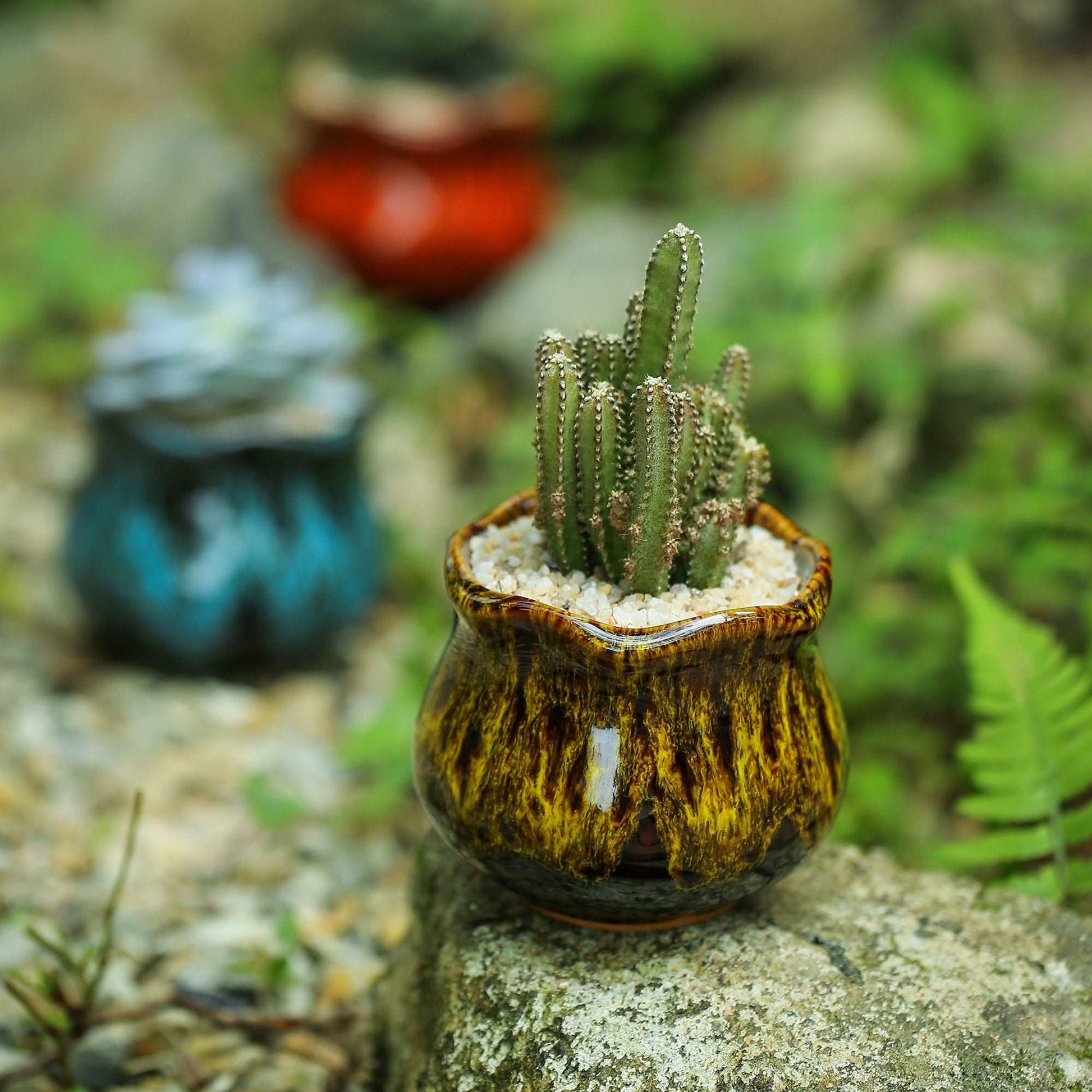 LAMDAWN Cute Ceramic Succulent Garden Pots, Planter with Drainage and Attached Saucer, Set of 6 -Plants Not Included (Vivid Colors) - LAMDAWN