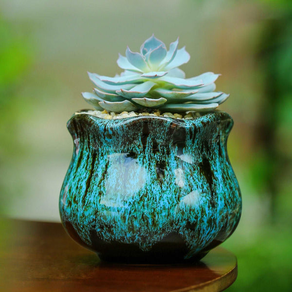cute ceramic pots for plants LAMDAWN Cute Ceramic Succulent Garden Pots, Planter with Drainage and
