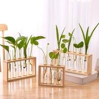 Hydroponic Wooden Stand Vase Fresh Living Room Simple Decorative Ornaments