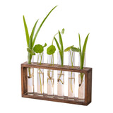 Hydroponic Wooden Stand Vase Fresh Living Room Simple Decorative Ornaments