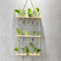 Creative Hydroponics Wall Hanging Vase Vase Test Tube Vase