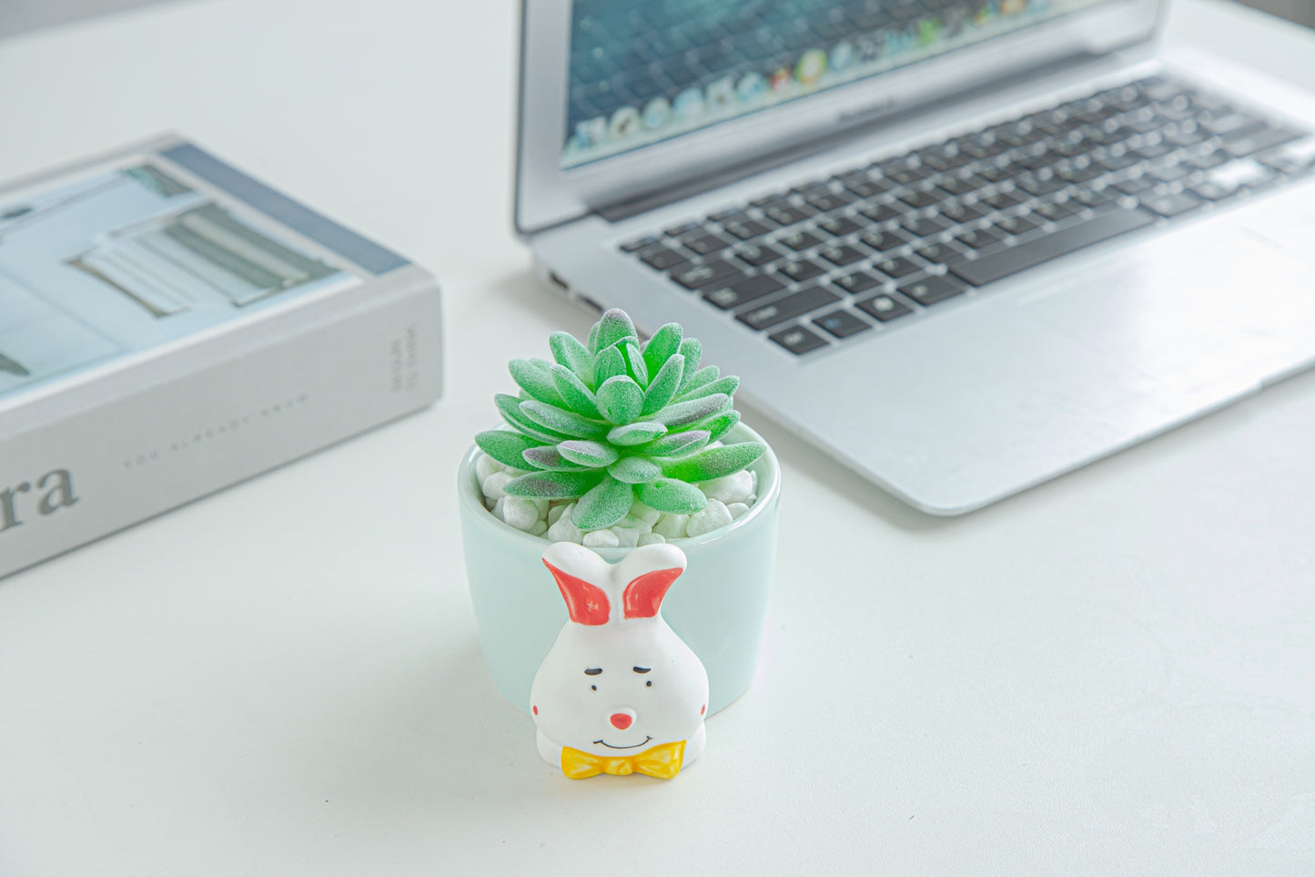 8.5 CM Cute Ceramic Succulent Garden Pots, Planter with Drainage and Attached Saucer -Plants Not Included (Blue) - LAMDAWN