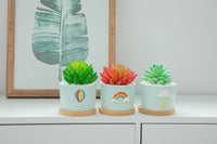 8.5 CM Cute Ceramic Succulent Garden Pots, Planter with Drainage and Attached Saucer -Plants Not Included (Weather) - LAMDAWN