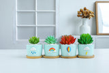 8.5 CM Cute Ceramic Succulent Garden Pots, Planter with Drainage and Attached Saucer -Plants Not Included (Weather) - LAMDAWN