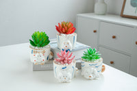 8.5 CM Cute Ceramic Succulent Garden Pots, Planter with Drainage and Attached Saucer -Plants Not Included (White) - LAMDAWN