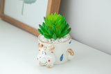 8.5 CM Cute Ceramic Succulent Garden Pots, Planter with Drainage and Attached Saucer -Plants Not Included (White) - LAMDAWN