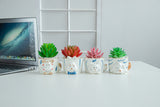 8.5 CM Cute Ceramic Succulent Garden Pots, Planter with Drainage and Attached Saucer -Plants Not Included (White) - LAMDAWN